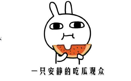 今日吃瓜网红是谁呀,揭秘网络红人的崛起之路